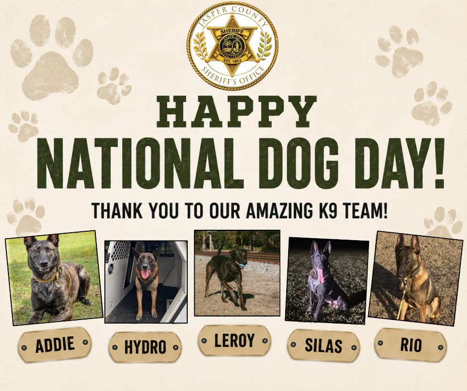 NAtional Dog Day Graphic